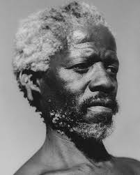 A Portrait of Heritage Luhleko John Mdluli—grandson of the formidable  Matsafeni Mdluli—stands as a living connection to a story etched into the  soil of the Lowveld. Over a century ago, Matsafeni Mdluli,