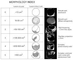 Ovarian Cyst Size Chart Best Picture Of Chart Anyimage Org