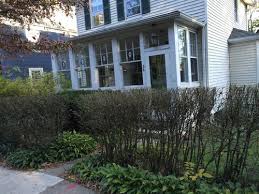 We did not find results for: Front Steps Landscaping Ideas