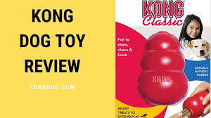 You can stuff anything that is safe for your dog to eat (in healthy amounts) into their kong. Kong Dog Toy Review Pros Cons Durable Natural Rubber