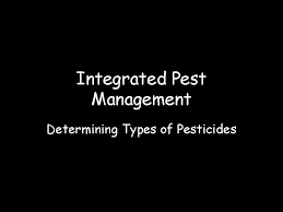 Natural enemies can be effective, and pesticides (chemical substances for controlling pests) are only used when. Integrated Pest Management Understanding Ipm Warm Up What