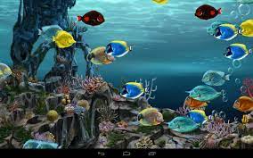 Maybe you would like to learn more about one of these? 3d Grund Des Meeres Tapete Ikan Bergerak 1280x800 Wallpapertip