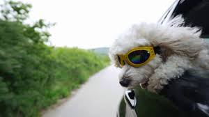 We did not find results for: Stay Cool During The Summer Carbon Valley Heating And Air Youtube