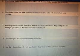 Check spelling or type a new query. Homework Mitosis Lab 1 Attach Drawings Of All 5 Chegg Com