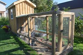 It's easier than you think to build a home for your flock. City Wants Your Input On Backyard Chicken Coops Orillia News
