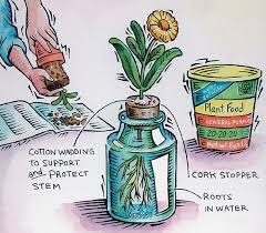 Kowalski likes that more people are learning. How To Start A Hydroponic Garden Scout Life Magazine