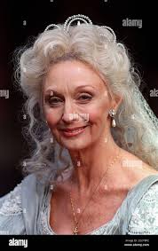 Known maddie hi-res stock photography and images