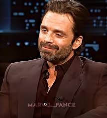 How Much Did Sebastian Stan Make