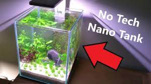 The betta fish is best housed in a solitary environment when kept in captivity due to its betta fish will attack and generally kill other male fish that have a more this biorb aquarium tank kit comes with the tank, halogen light, gravel, filter, air. How To Betta Fish Tank No Tech No Filter No Ferts No Co2 Youtube