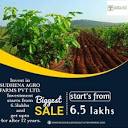 Vadodara Local Ads - RED SANDALWOOD FARMING IN AP INDIA. How It ...