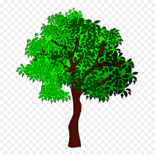Woman in black tank top standing on green grass field during sunset. Four Seasons Clip Art Summer Season Tree Clipart Hd Png Download Vhv