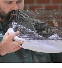 Lots going today… Jason tardy high...