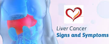 Liver cancer is cancer that begins in the tissues of the liver. Warning Signs And Symptoms Of Liver Cancer Most People Ignore