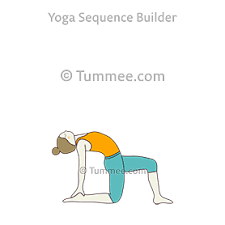 It is important to be able to access the. Camel Pose Variation One Leg In Front Yoga Ustrasana Variation One Leg In Front Yoga Sequences Benefits Variations And Sanskrit Pronunciation Tummee Com