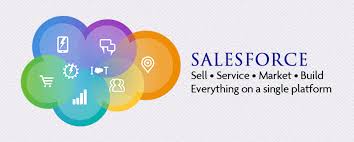 What Makes Salesforce World S No 1 Crm Platform