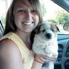 Honesty From An Australian Cattle Dog Owner These Little Biters Can Drive You Crazy Pethelpful