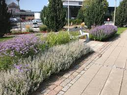 Målet er å bidra til at folk kan me… Sarpsborg Kommune Bed M Stauder3 Maskin Og Utemiljo Asmaskin Og Utemiljo As