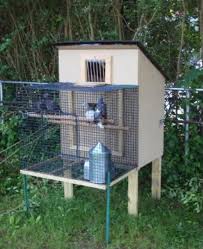 Each bird wears a secretly numbered rubber. Small Coop Loft Plans And Designs Pigeon Loft Pigeon Loft Design Racing Pigeon Lofts