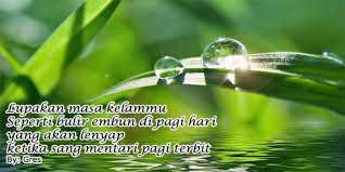 Kata ucapan selamat pernikahan lucu untuk sahabat **kata kata bijak kesendirian dalam hidup **kata kata ucapan selamat naik haji dan umroh **kata kata semangat untuk pacar yang lagi kerja **kata kata penyesalan diri yang menyentu hhati **kumpulan kata kata bijak tentang arti. Kata Kata Embun Hujan