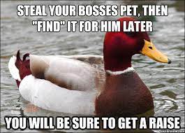 Steal Your Bosses Pet Then Find It For Him Later You Will Be Sure To Get A Raise Malicious Advice Mallard Quickmeme