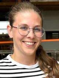 Wiler Nachrichten: Über 500 Einsprachen umsonst?