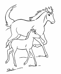 These ocean animals coloring pages are not just fun, they will also help your kids to learn about. Animal Colouring Pages Horse Total Update