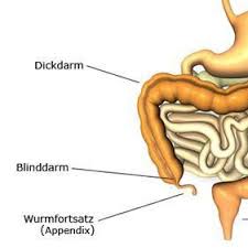 Zurück wahlleistungen im krankenhaus checkliste für das krankenhaus. Blinddarmentzundung Oder Sonst Etwas Schmerzen Blinddarm