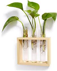 Amazon Ca Propagation Tubes Hanging Glass Planters Hanging Plants Tabletop Terrarium
