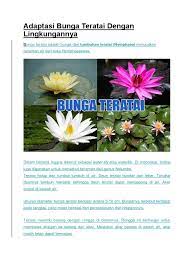 Tumbuhan yang hidup di tanah basah/lembab disebut higrofit. Bagaimana Bunga Teratai Beradaptasi Dengan Lingkungannya Cara Golden