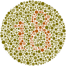 pin on ishihara test