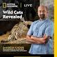 National Geographic Live - Wild Cats event image