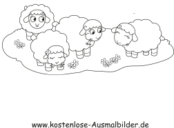 Ausmalbild Schafe Auf Der Wiese Zum Ausdrucken