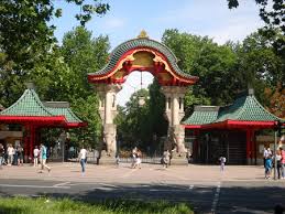 Zoo Berlin Infos Offnungszeiten 2020 Eintrittspreise 2020