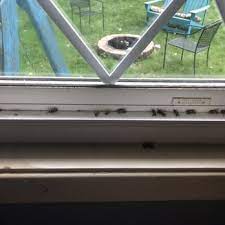 With our talented and skilled professionals along with the recent. Hoban Pest Control 10 Reviews Pest Control 33699 Lear Industrial Pkwy Avon Oh Phone Number