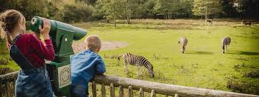 A great time for all the family! Newquay Zoo Exhibits Listing Details