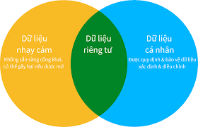 Dữ liệu cá nhân trở thành dữ liệu mở?