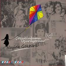 Naside Gokturk Donmen Gerek Mp3 Indir Donmen Gerek Muzik Indir Dinle