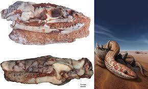 Les reptiles cute reptiles reptiles preschool cãezinhos bulldog king cobra snake animals beautiful cute animals snake painting king cobra. Fossil Reveals How Ancient Reptiles Had Limbs And Cheekbones For 100million Years Daily Mail Online