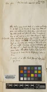 Image result for Phyllanthus hutchinsonianus