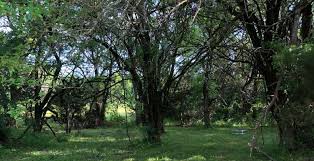 This friendly atmosphere is evident in many of the great rv parks throughout the state, making texas a popular rv destination. The 30 Best Campgrounds Near Paris Texas