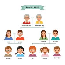 Family tree chart with human avatars 29092049 Vector Art at Vecteezy
