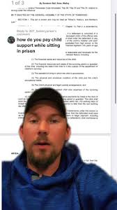 Generic Order Child Support for Incarcerated Father