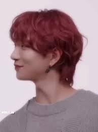 Joshua Svt Red Hair