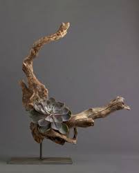 Check spelling or type a new query. 19 Driftwood Stand Ideas Driftwood Driftwood Art Driftwood Sculpture