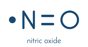 Nitric Oxide Definition And Overview Diabetes Self Management