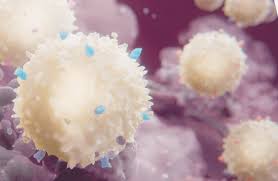 Scientific Publications & Presentations