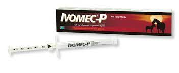 In humans, this includes head lice, scabies, river blindness (onchocerciasis), strongyloidiasis, trichuriasis, ascariasis. Produktdetail Vetmedica