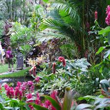 P1060893 Tropical Garden Design Tropical Landscaping Tropical Backyard