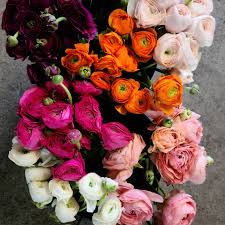 A division of landex nursery 12 howell rd freehold nj 07728. Calvert S Wholesale Flower Exchange Home Facebook