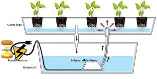 We did not find results for: Hydroponic Flood And Drain Aka Ebb And Flow Systems Luv2garden Com